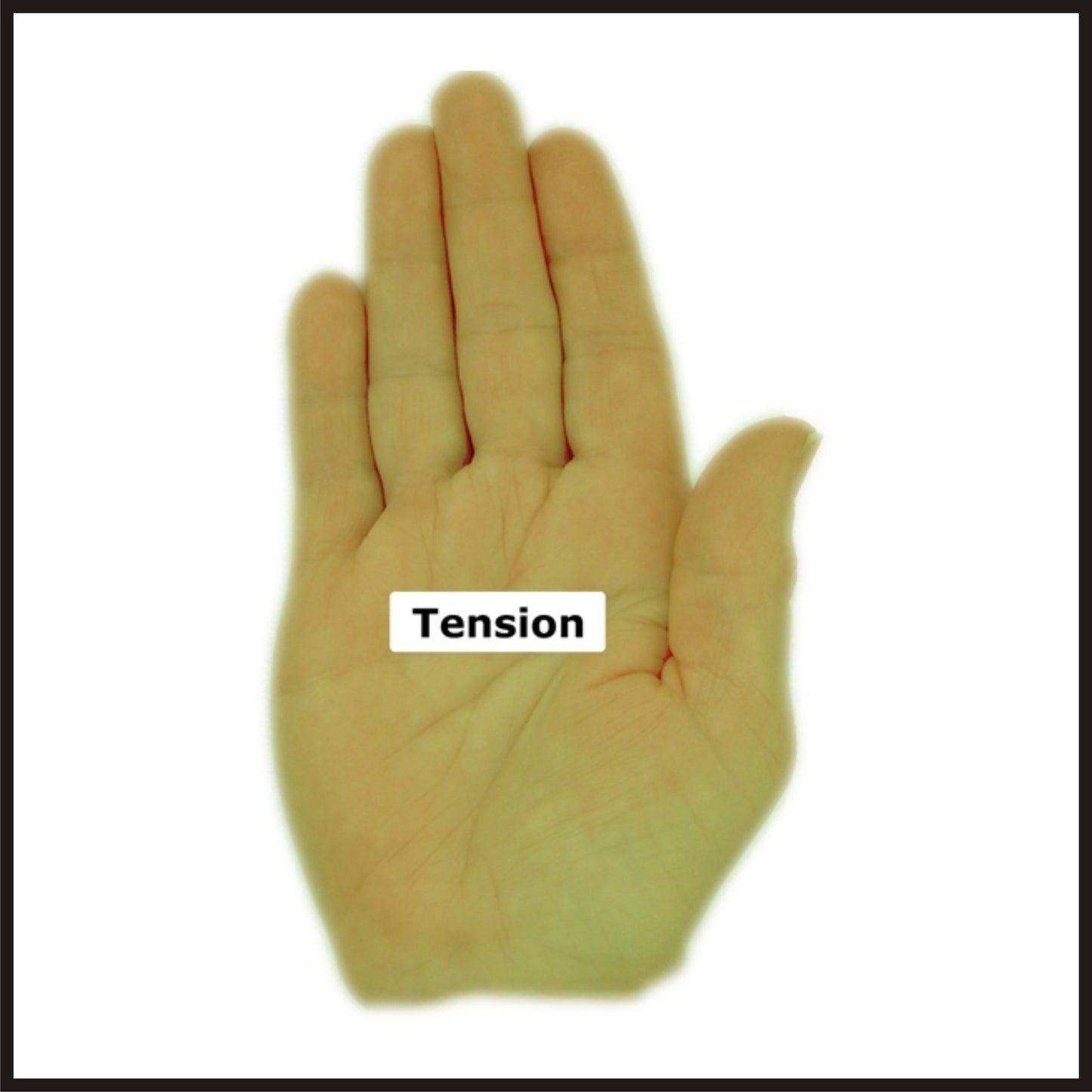 Autocollants français sécheuses 30752